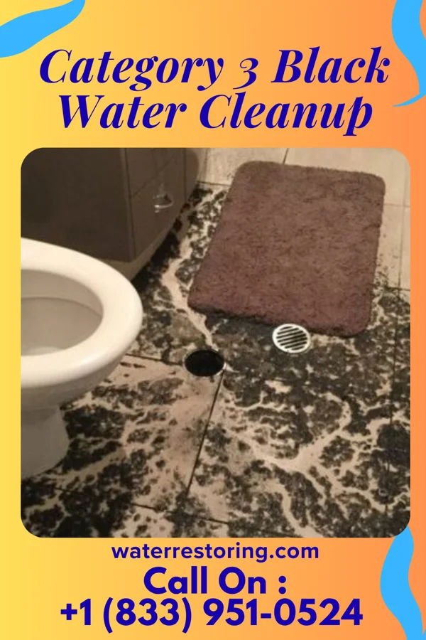 Category 3 Black Water Cleanup in Arlington, MN