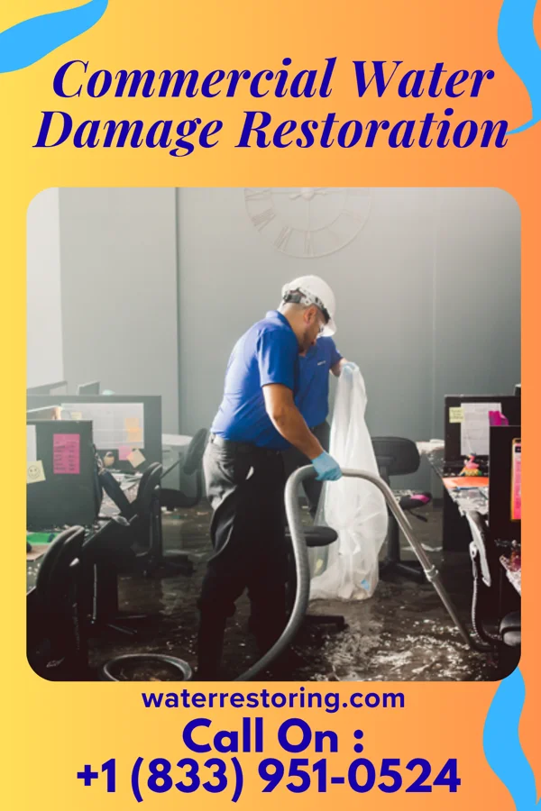 Commercial Water Damage Restoration in Arlington, MN