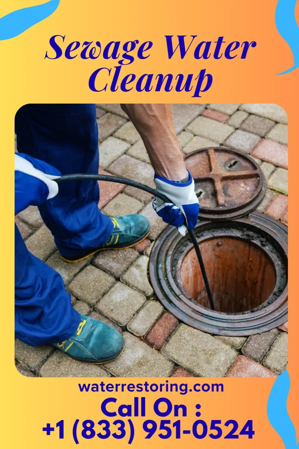Sewage Water Cleanup in Arlington, MN